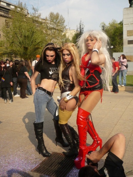 Latina Tranny XXX Gallery