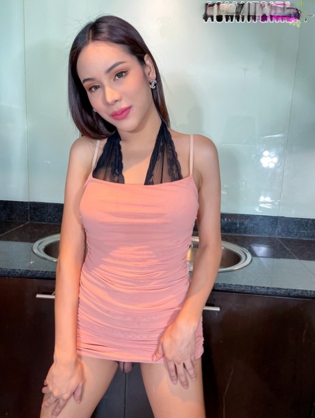 Asian TGirl performed by Mind XXX Gallery